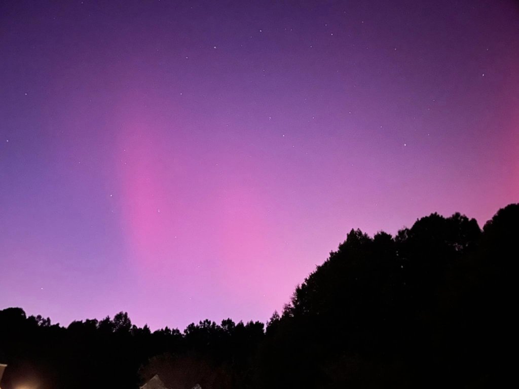 NClights1.jpg