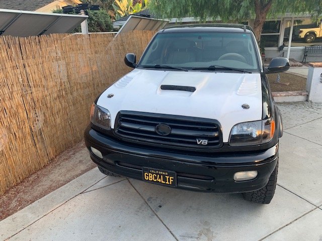 new hood.jpg