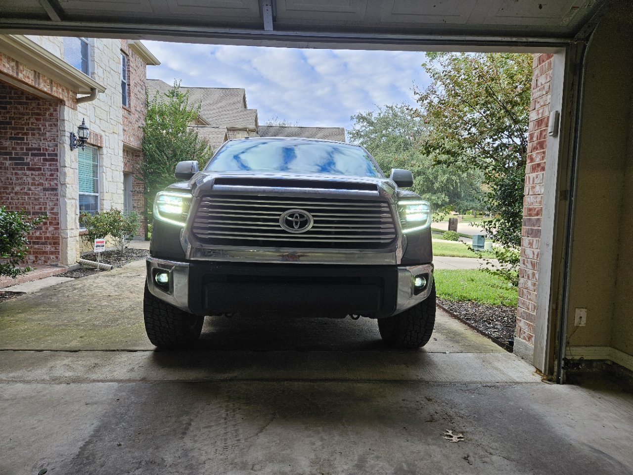new lights day.png