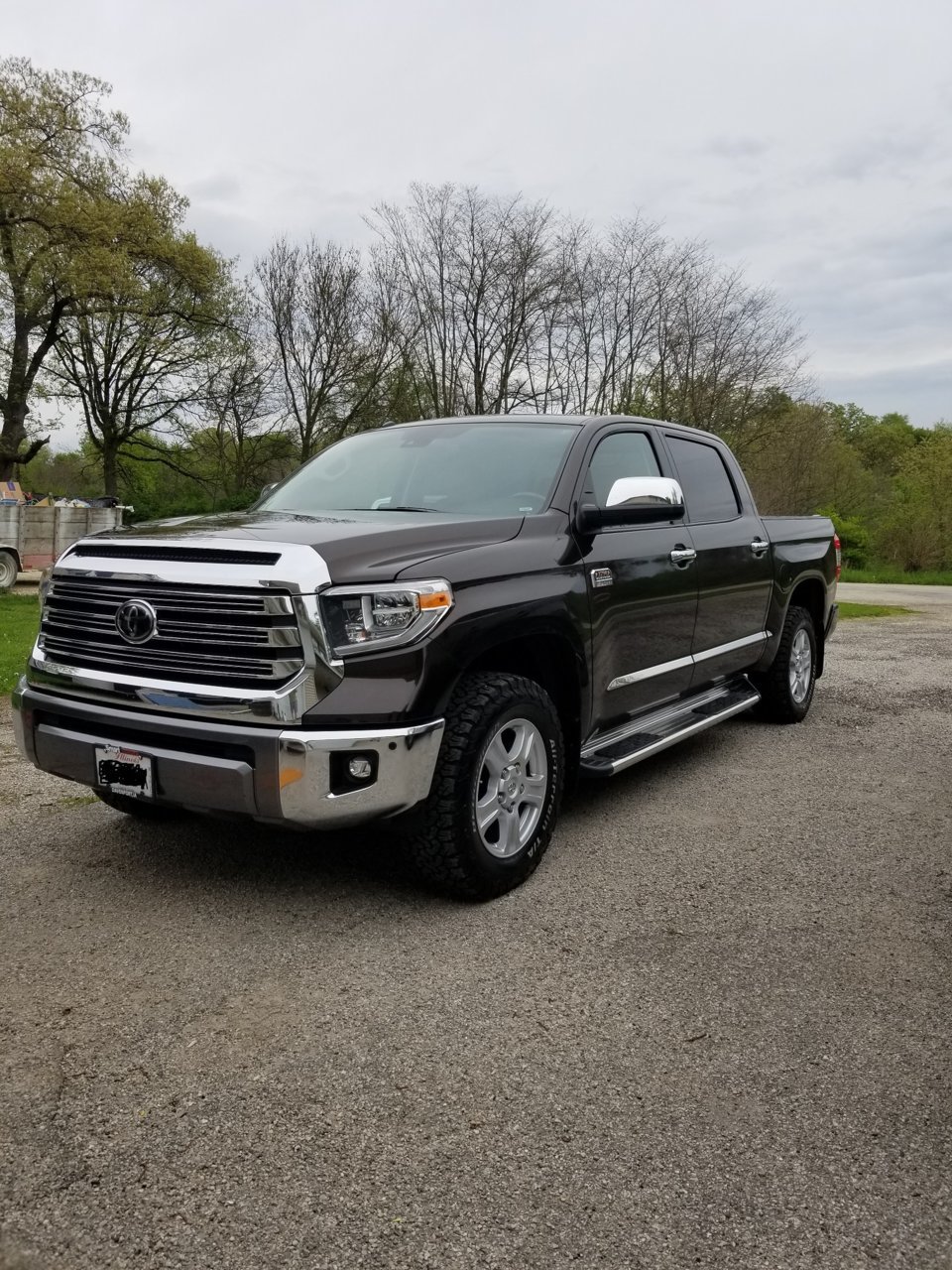 new whip.jpg