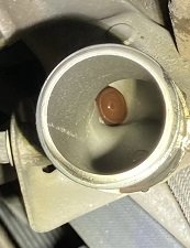 nipple.jpg
