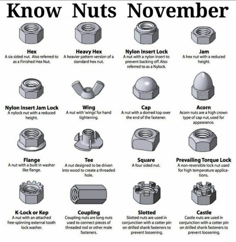 nut.jpg