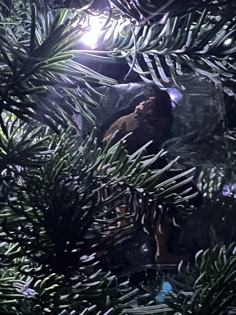 OG Brown Squatch Christmas.jpg