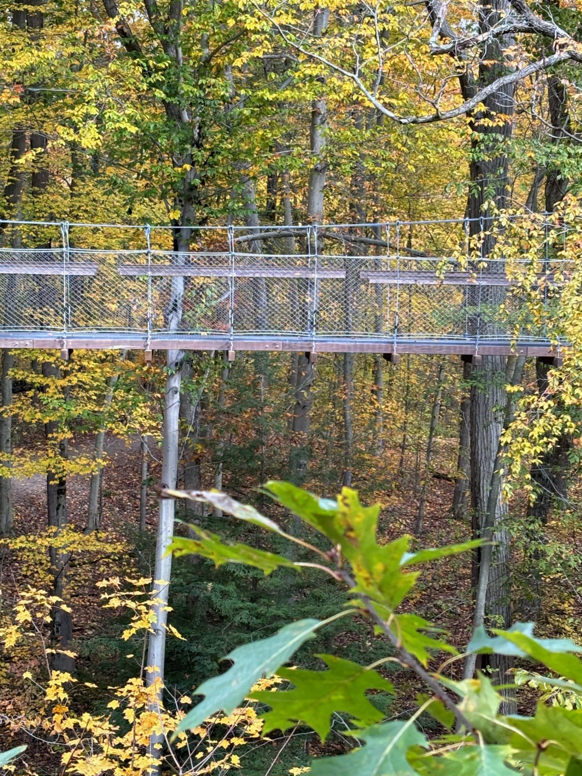 Ohio4*.jpg