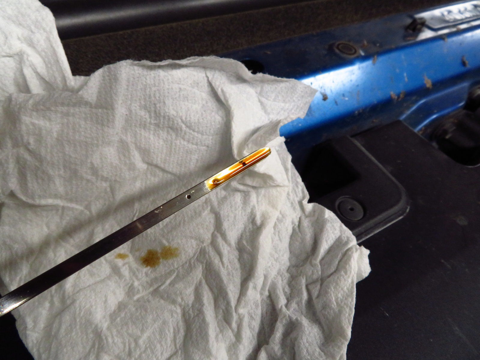Oil Dipstick.jpg