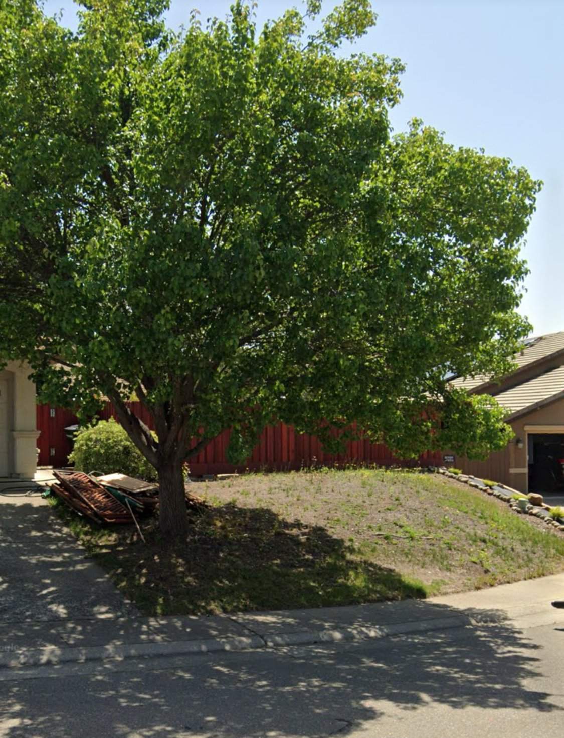 OLD YARD.png