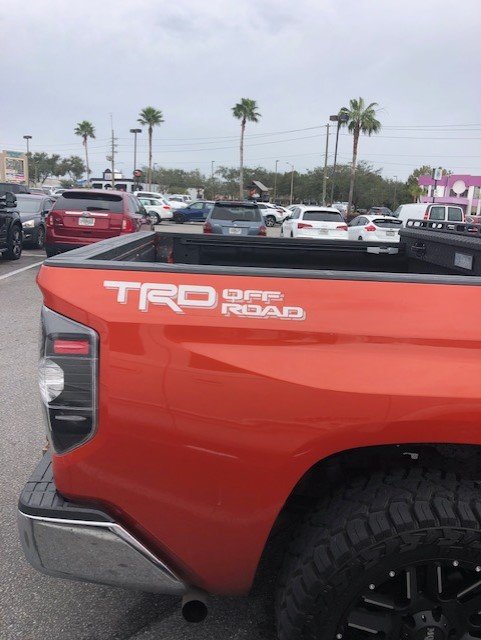 Orange tundra two.jpg