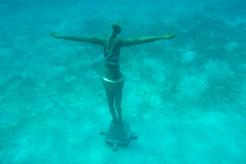 P1000319.jpg