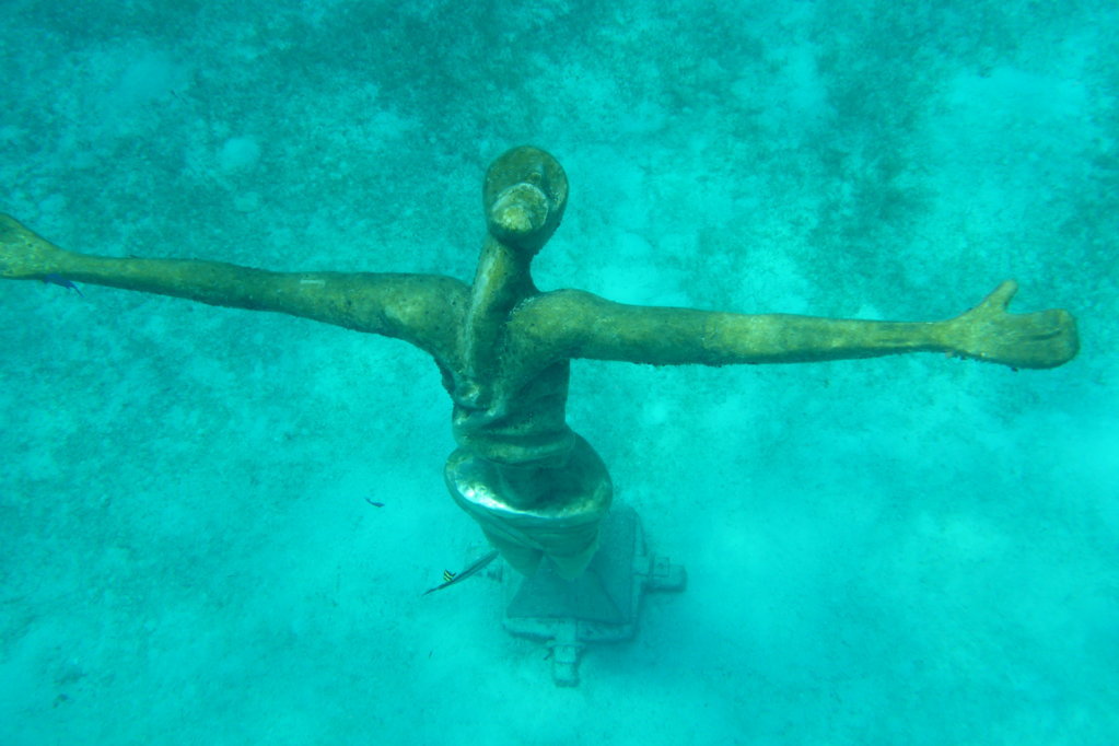 P1000325.jpg