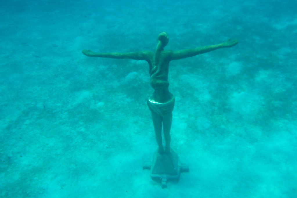 P1000329.jpg