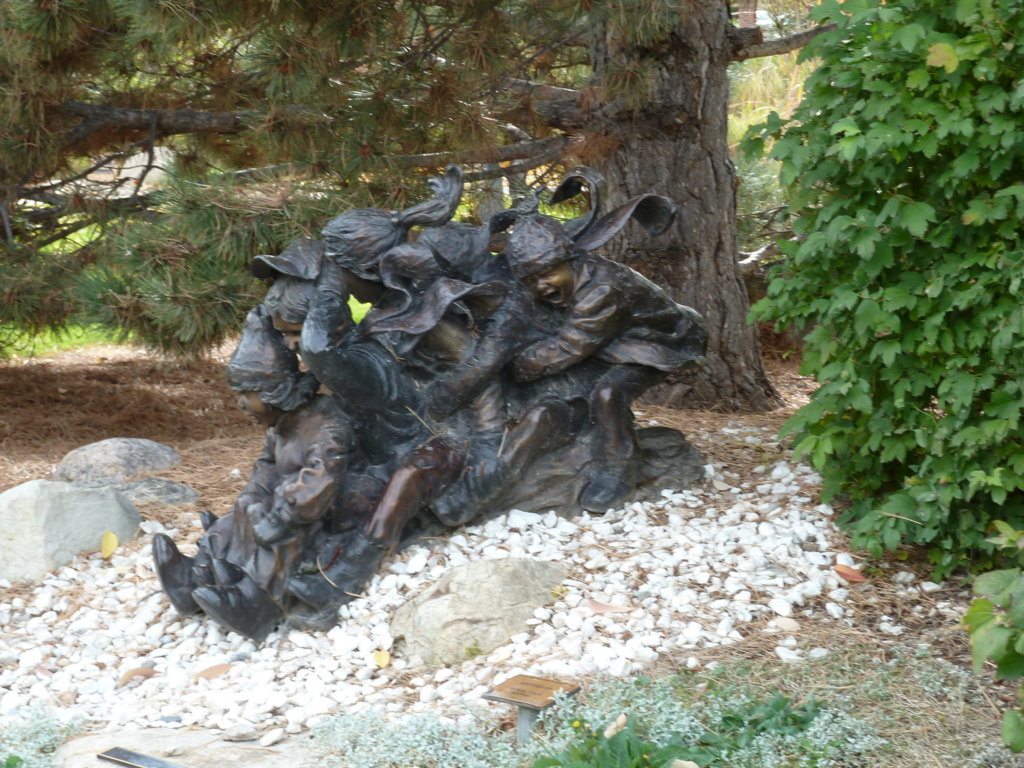 P1000556.jpg