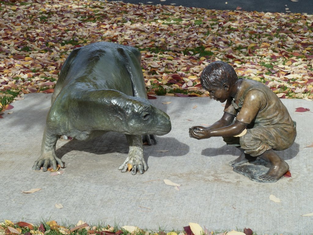 P1000560.jpg