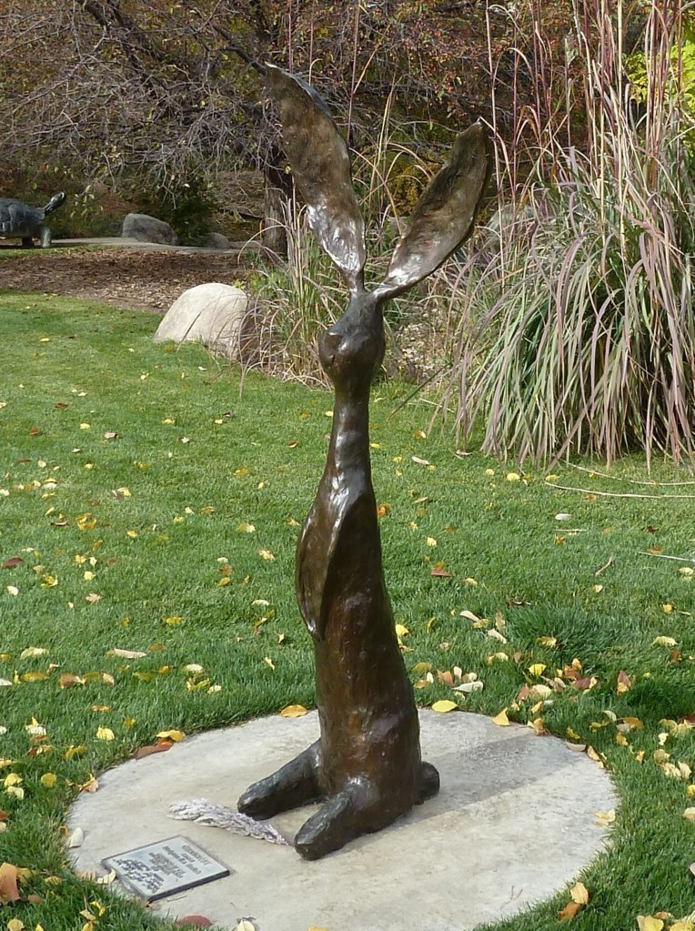 P1000563.jpg