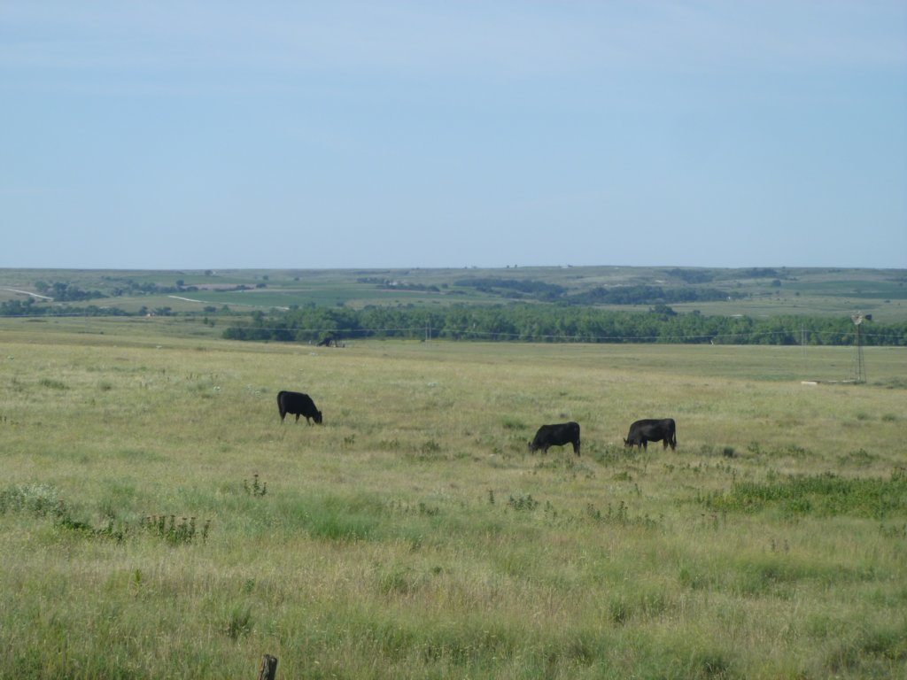 P1010429_Original.jpg