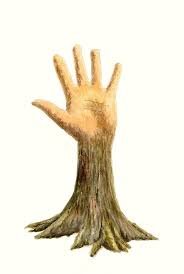 (palm) tree.jpg