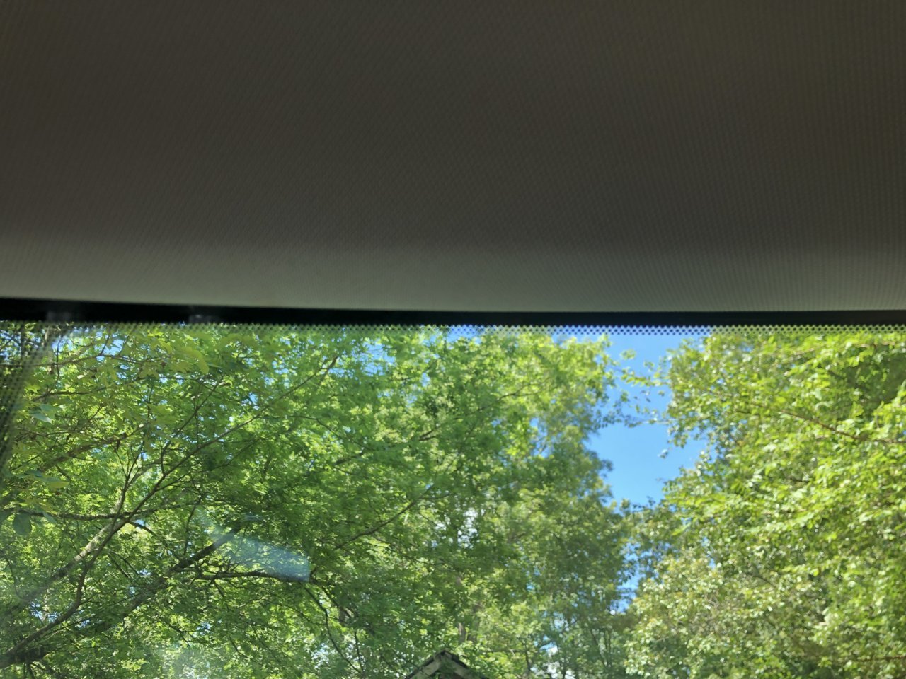 passenger side headliner.jpg