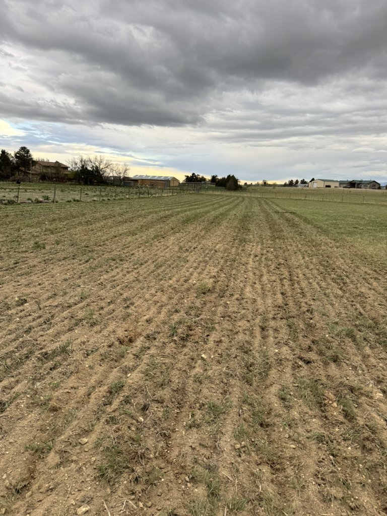 Pasture day 1 progress.jpg