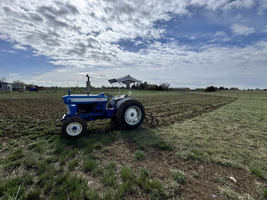 Pasture Ford day 2.jpg
