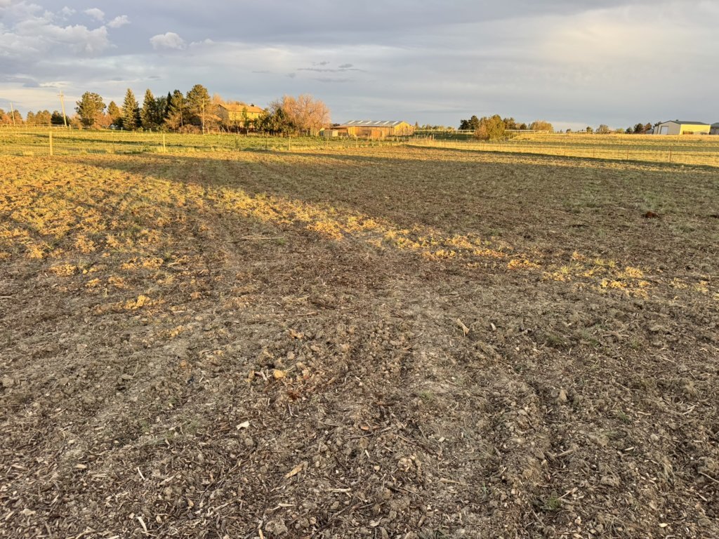 pasture post wood chips 1.jpg