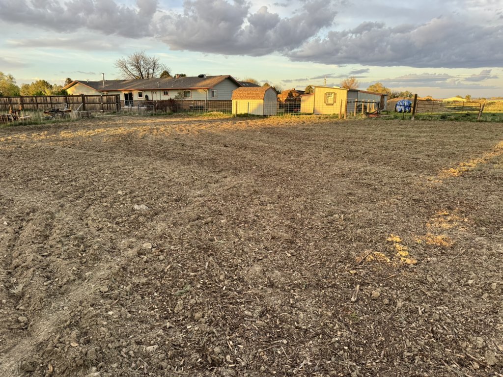 Pasture post wood chips 2.jpg