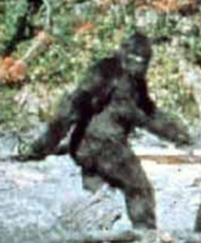 Patterson-bigfoot.jpg