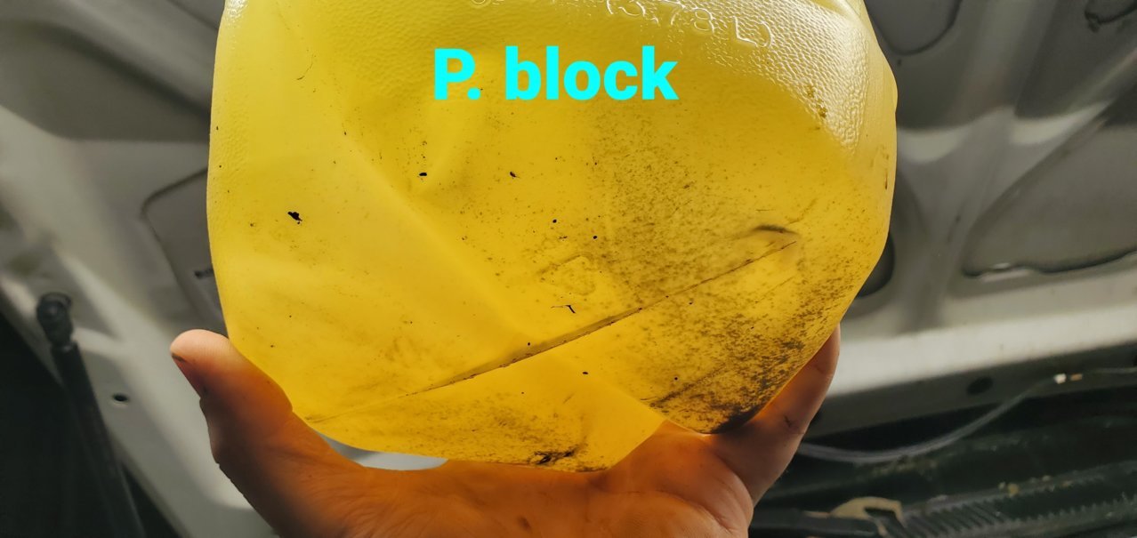 Pblock.jpg