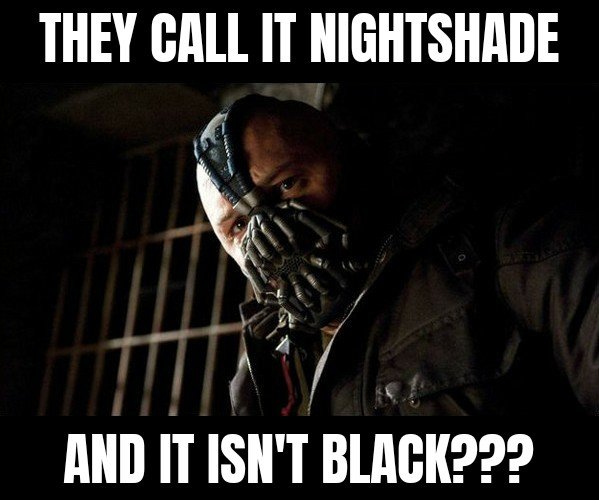 Permissive Bane 25032022120733.jpg