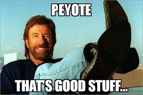 Peyote.jpg