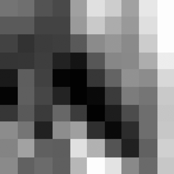 Pixel.gif