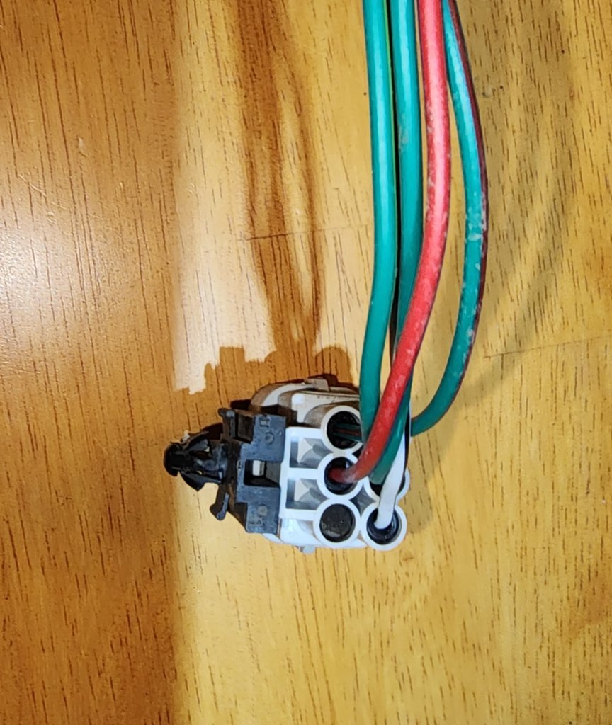 Plug.jpg