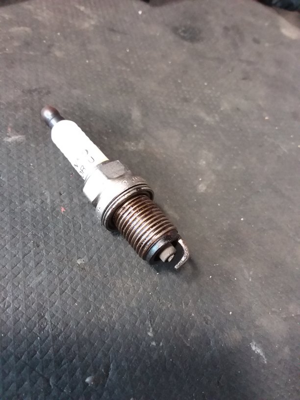 plug.jpg