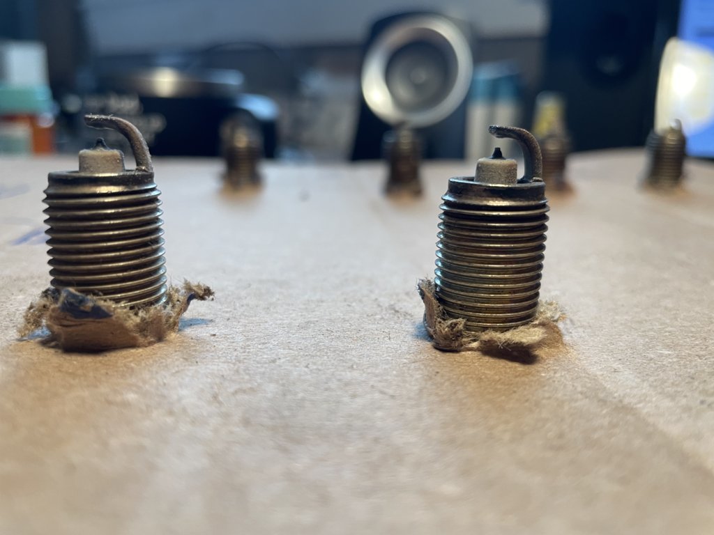 Plugs.jpg