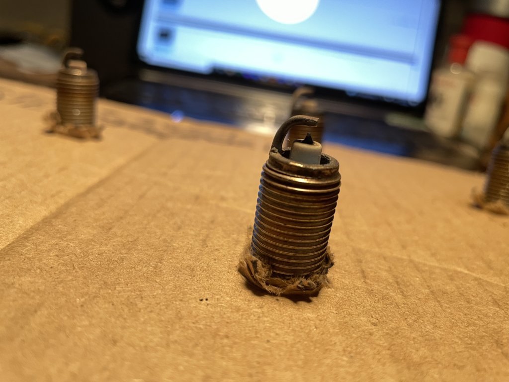Plugs1.jpg