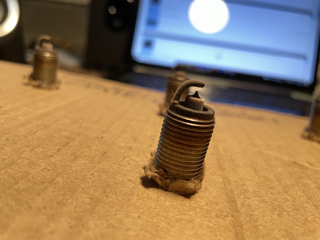 Plugs2.jpg