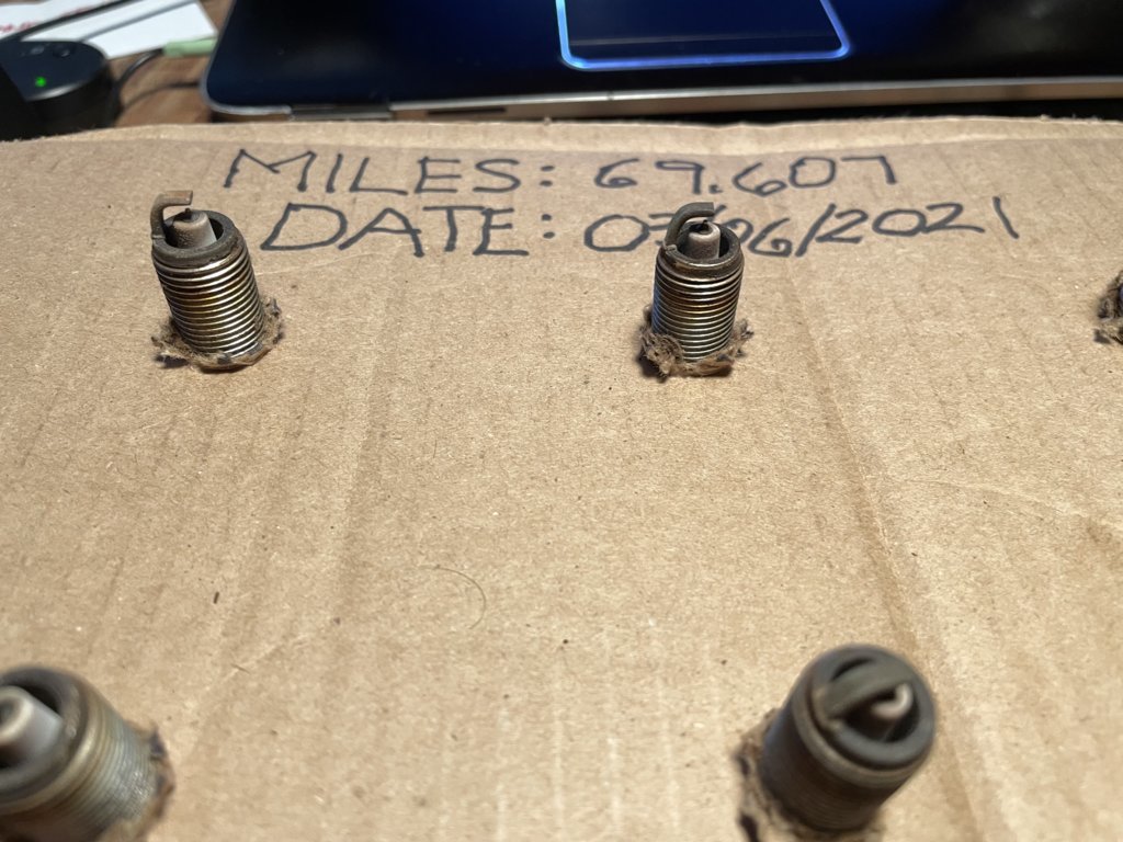 Plugs3.jpg
