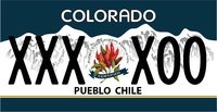 pueblo chile passenger web.jpg