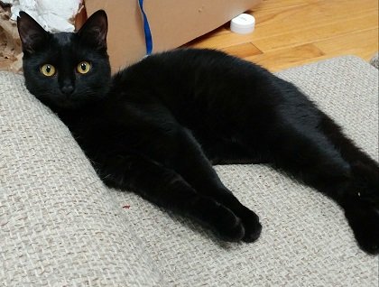 punkin2.jpg