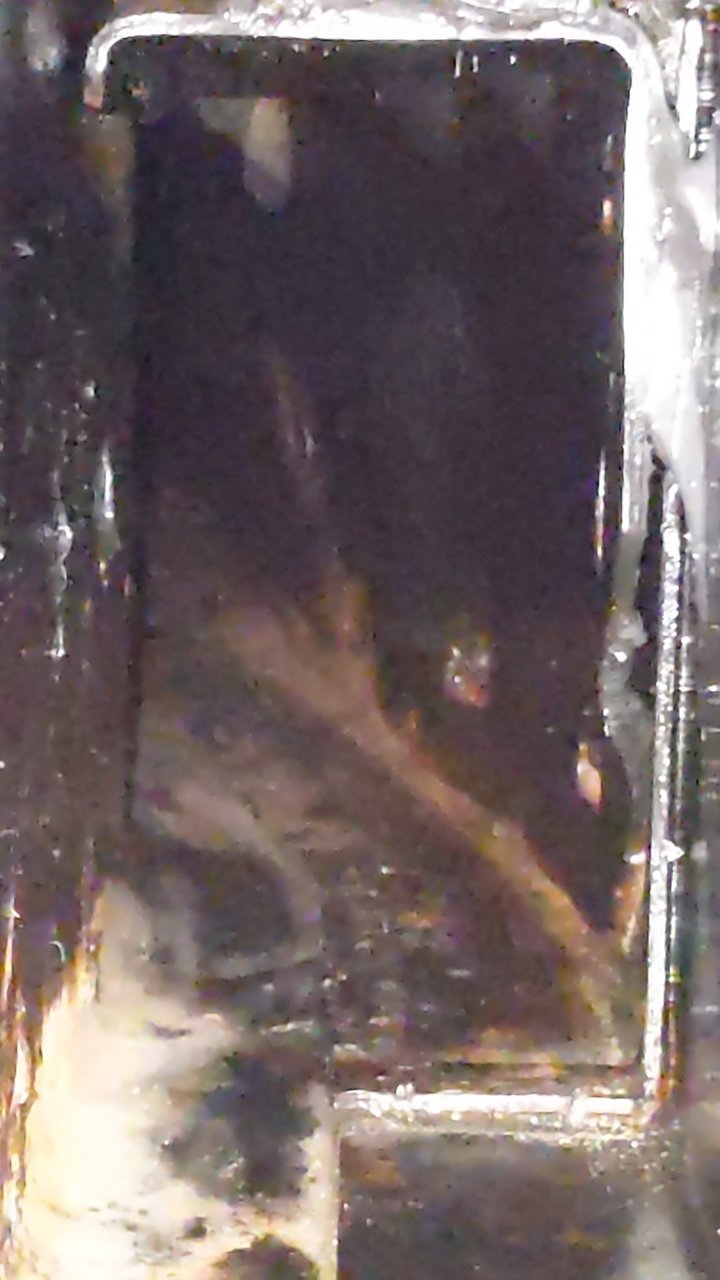 PXL_20201103_231543790.jpg