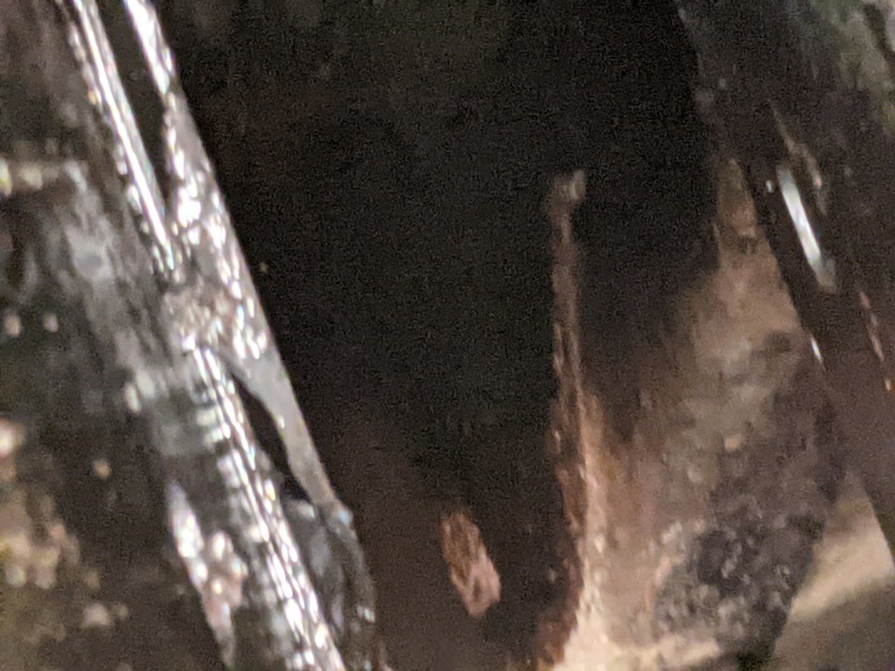 PXL_20201103_231646331.jpg