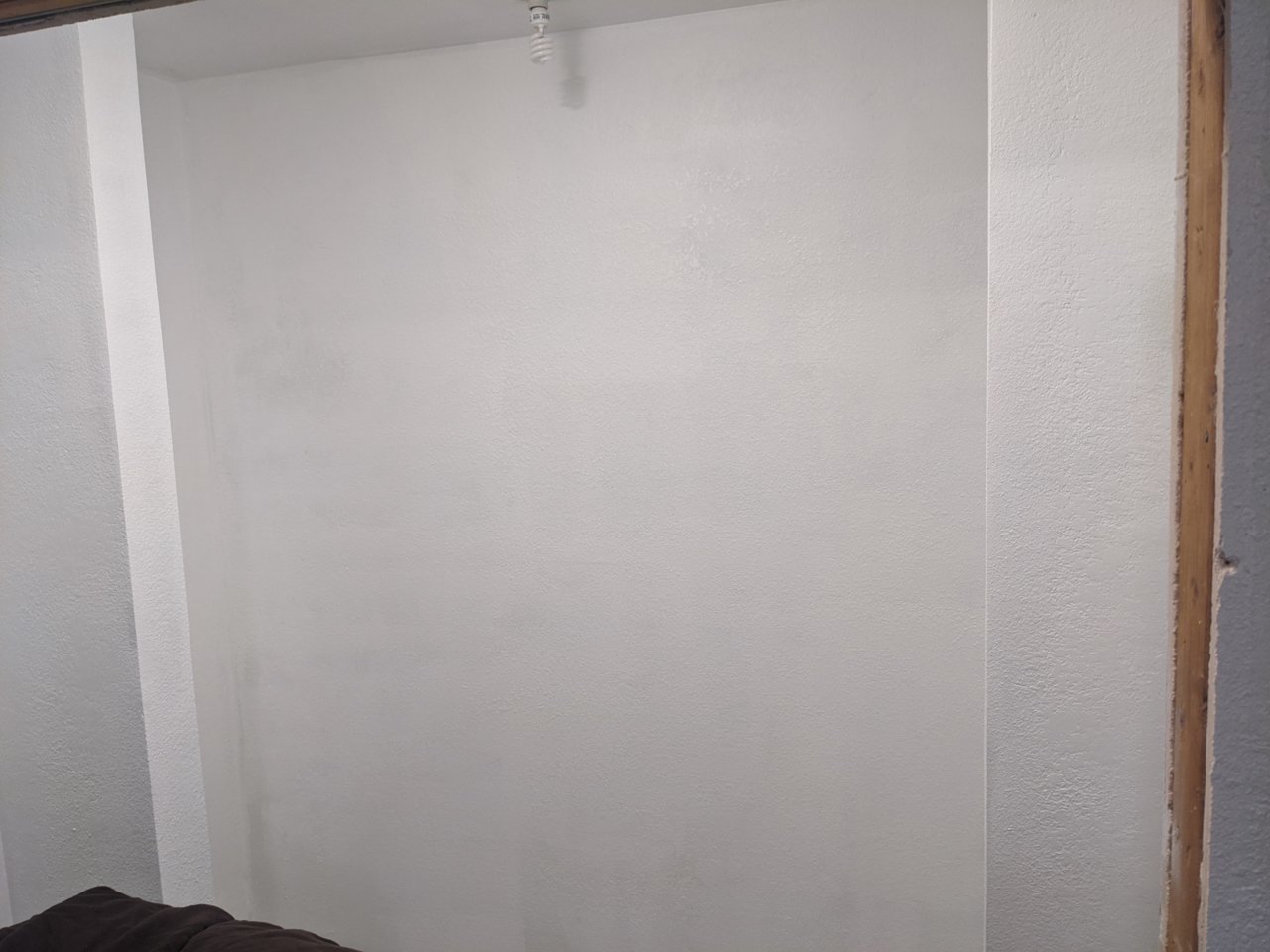 PXL_20210216_043558921.jpg