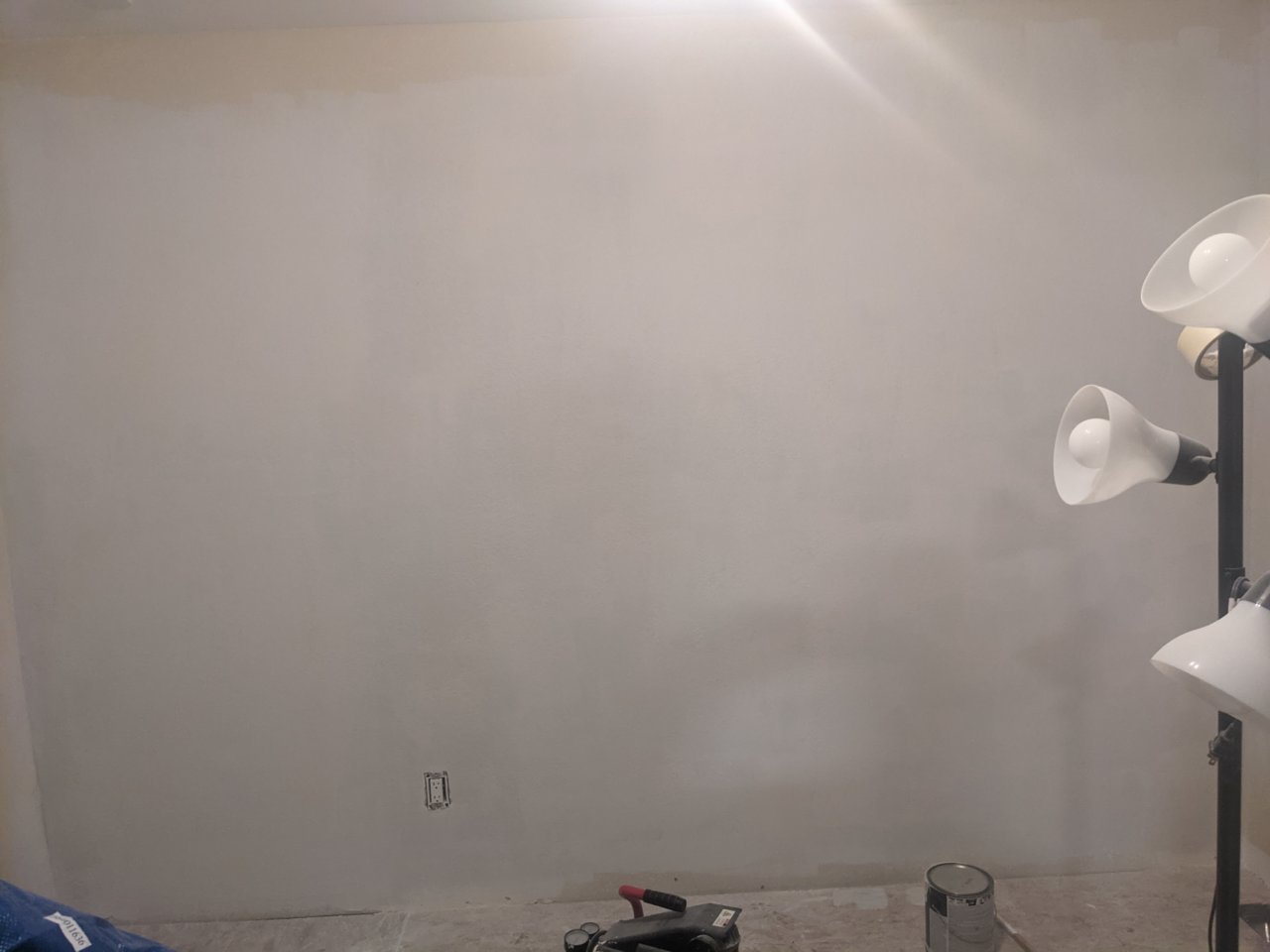 PXL_20210301_031328981.jpg