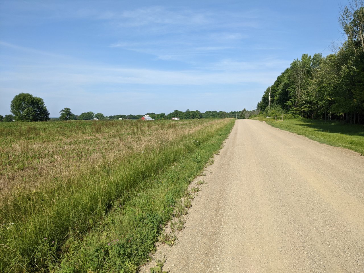 PXL_20210627_131127463.MP.jpg