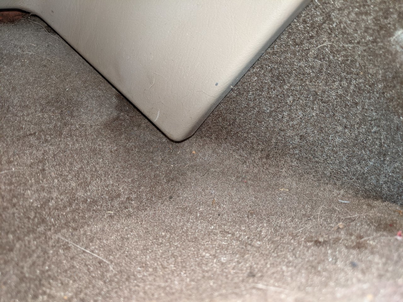 PXL_20210706_230020740.jpg