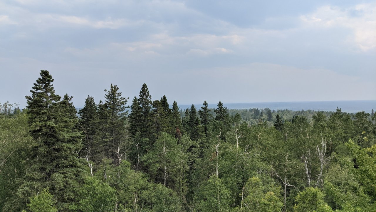 PXL_20210713_210526331.jpg