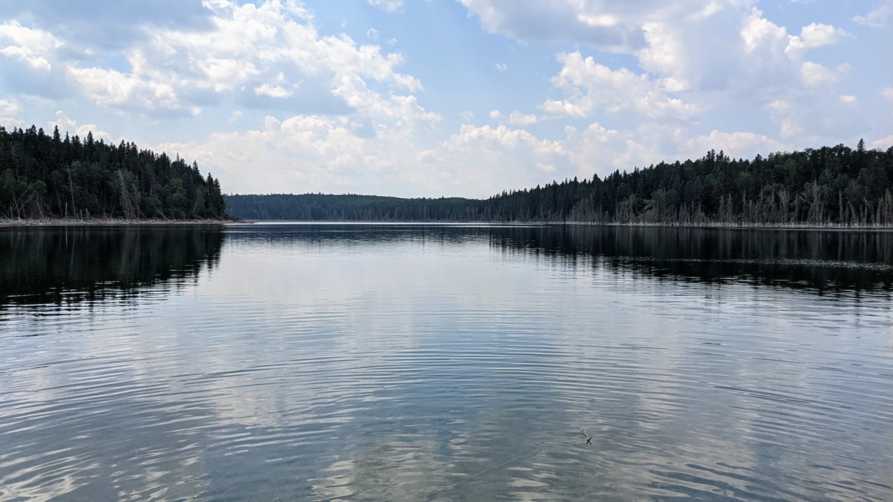 PXL_20210714_185143385.jpg