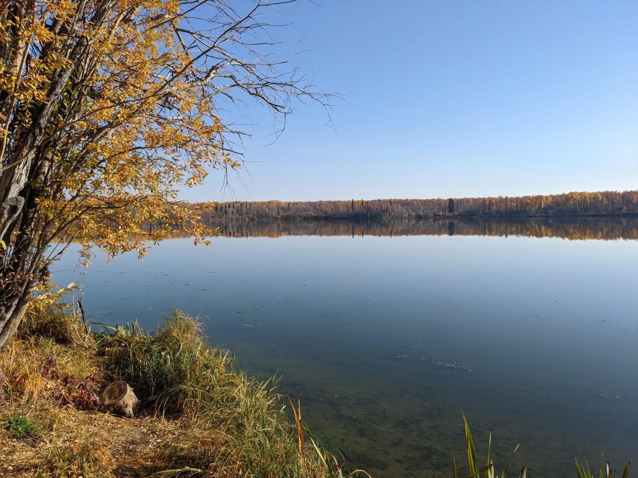 PXL_20221017_201724950.jpg