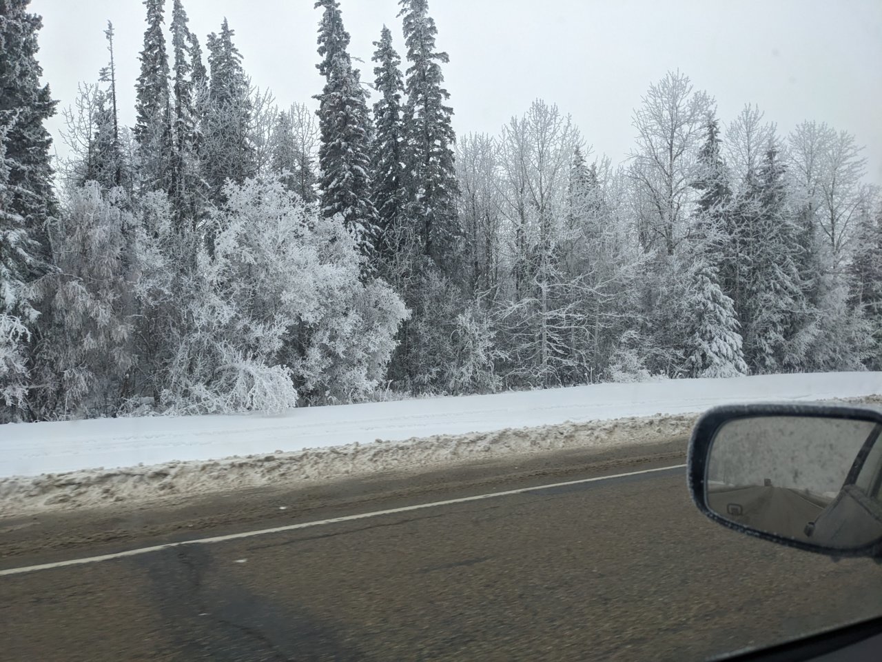 PXL_20230115_205328740.jpg
