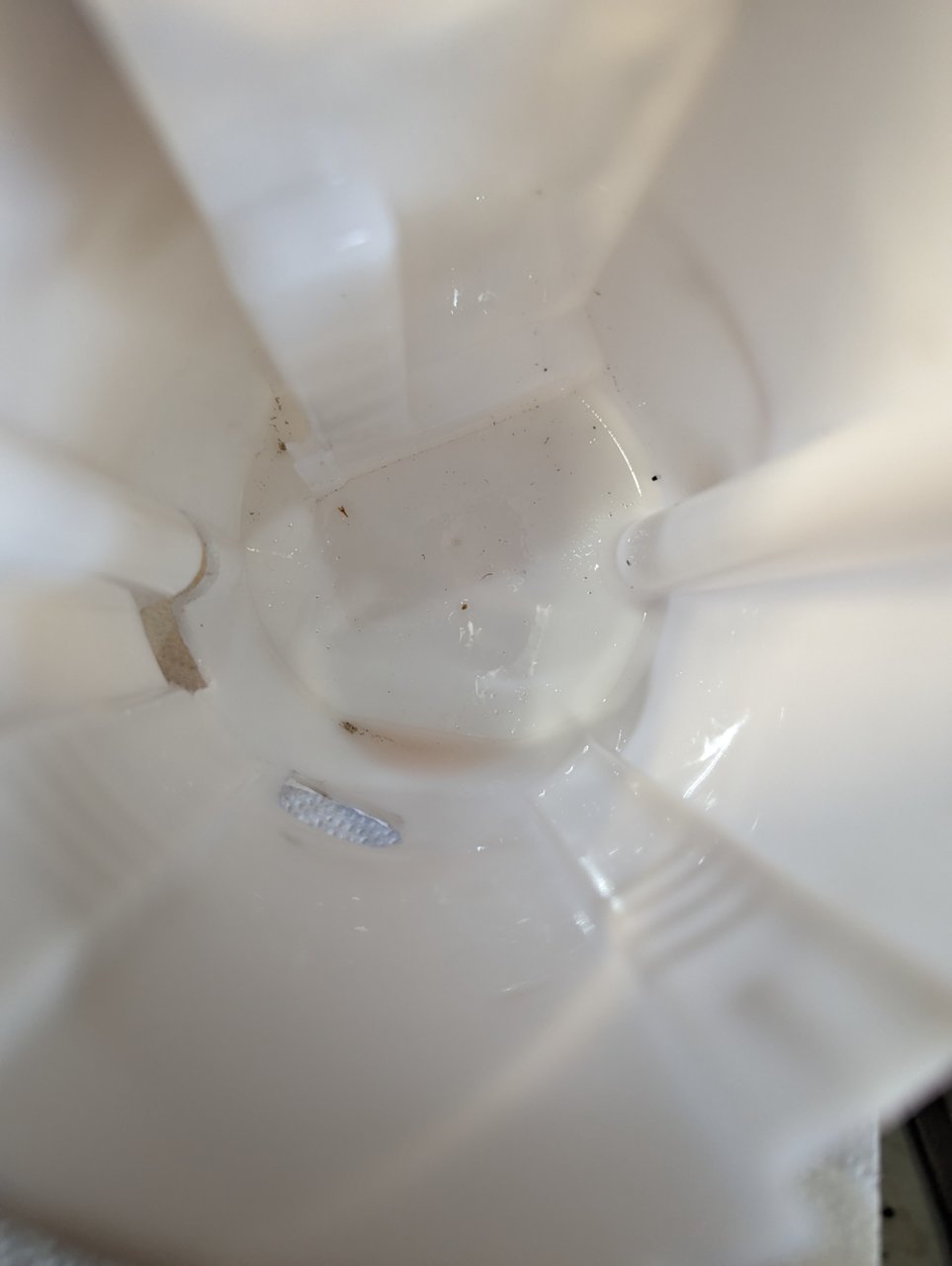 PXL_20230227_224802876.jpg