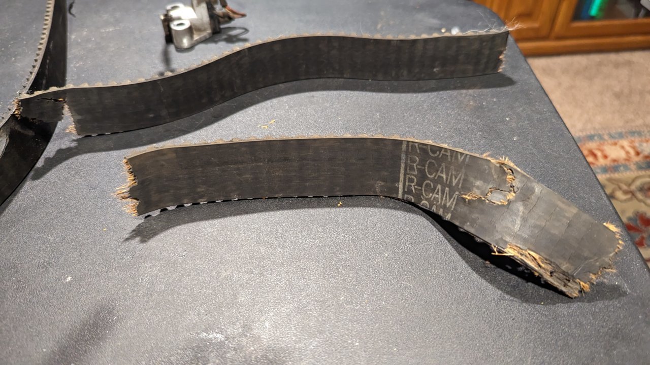 PXL_20230413_040545790.jpg