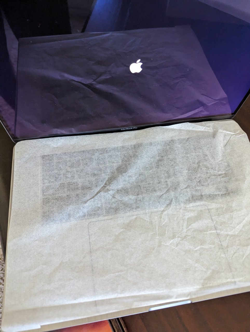 PXL_20230625_210533488.jpg